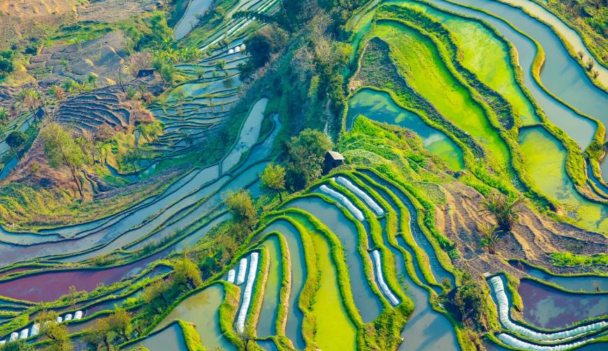 宝妈必备神器：太白县产品视频拍摄轻松育儿好帮手