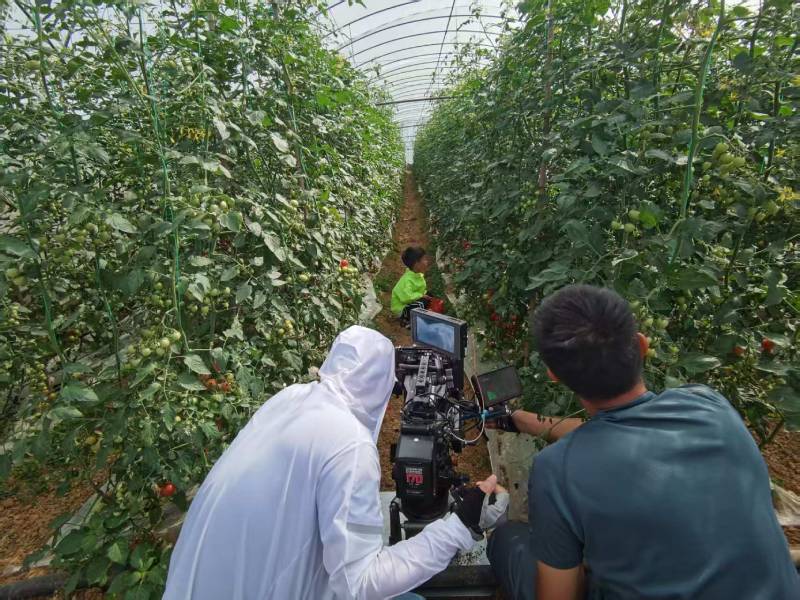 太白县产品宣传视频拍摄公司进阶指南，助力品牌抢占传播高地